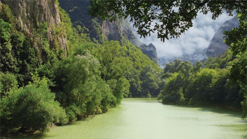 The Amazon rainforest is home to around 50% of the total plants and animals in the world.